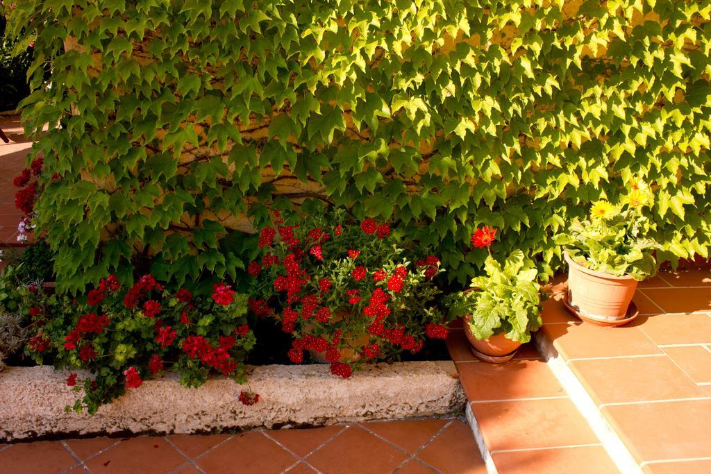 Casa Del Falso Pepe - Scala Dei Turchi Realmonte Kültér fotó